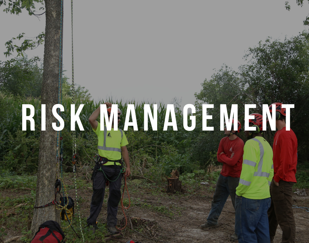 Risk Management