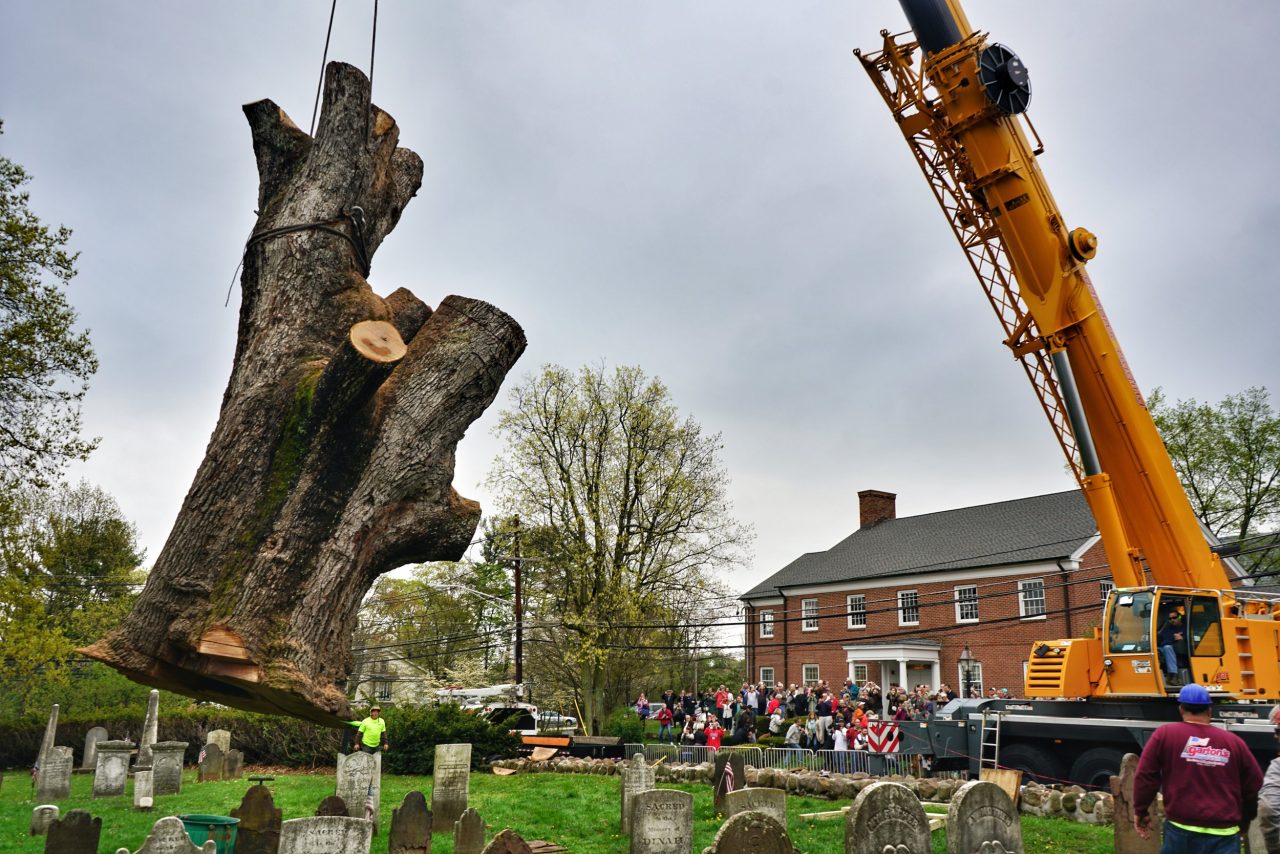 KNUCKLE BOOM VS. TELESCOPIC CRANE